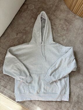 Aritzia Gray Pullover Hoodie